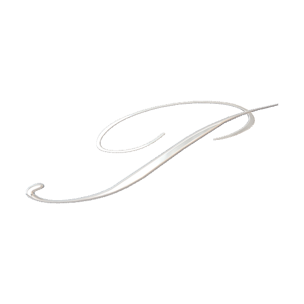 MÓ Palomo Logo mugimenduan